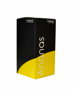Rohstoffe Bag in Box Ananas